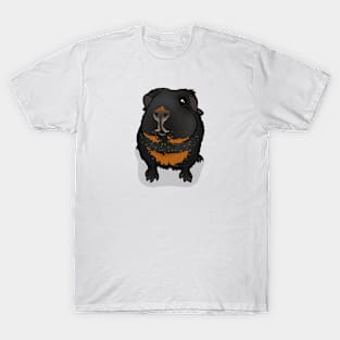 Tan Guinea Pig T-Shirt